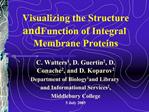 Visualizing the Structure and Function of Integral Membrane Proteins