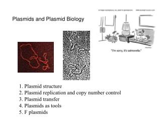 Plasmids and Plasmid Biology