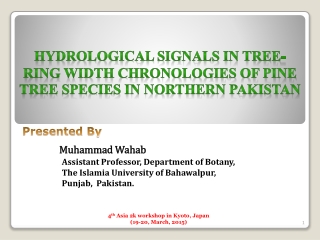Hydrological signals in tree-ring width chronologies of pine tree species in northern Pakistan