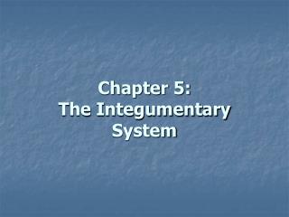 Chapter 5: The Integumentary System