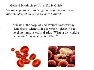 Medical Terminology Visual Study Guide