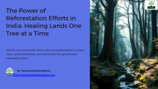 The Power of Reforestation Efforts in India Healing Lands One Tree at a Time
