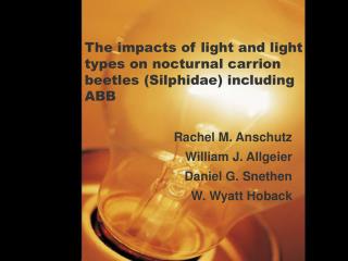 The impacts of light and light types on nocturnal carrion beetles (Silphidae) including ABB