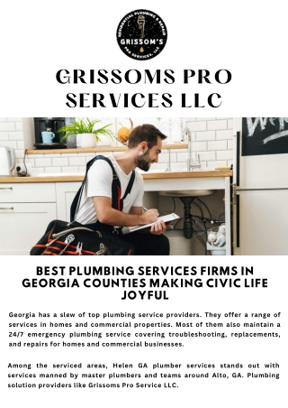 Best Plumbing Services Firms in Georgia Counties Making Civic Life Joyful