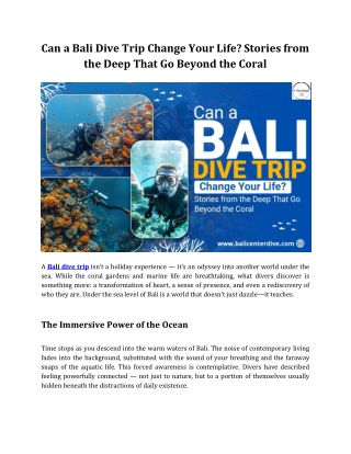 Can a Bali Dive Trip Change Your Life_ Stories from the Deep That Go Beyond the Coral