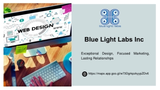 Blue Light Labs, Atlanta to Roll Out Attractive Packages for Small and Medium Businesses