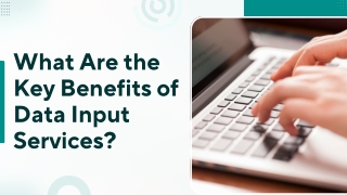 What Are the Key Benefits of Data Input Services?