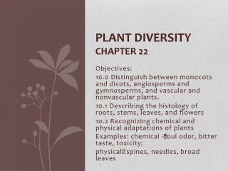 Plant diversity Chapter 22