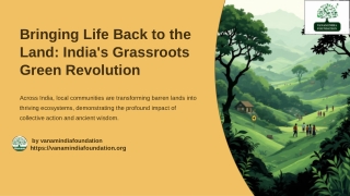 How locals are Restoring Degraded Land and bringing Dead Lands back to life