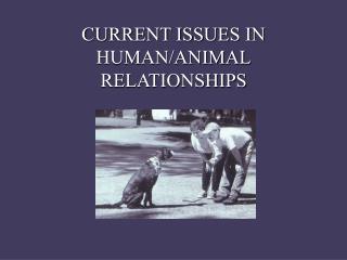 CURRENT ISSUES IN HUMAN/ANIMAL RELATIONSHIPS