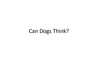Can Dogs Think?