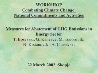 WORKSHOP Combating Climate Change: National Commitments and Activities