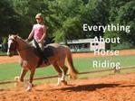 Everything about the Horse Riding