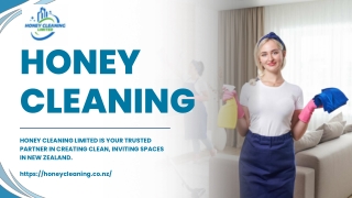 Professional Cleaning Service in New Zealand