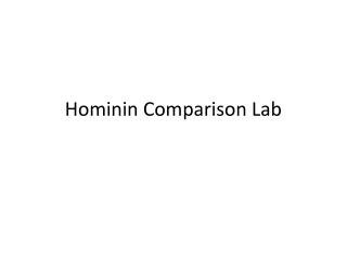 Hominin Comparison Lab