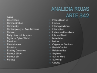Analidia Rojas ARTE 342