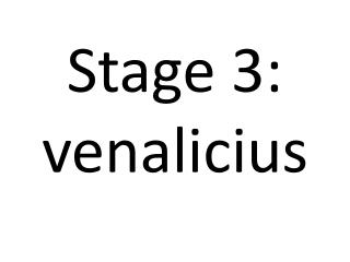 Stage 3: venalicius