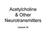 Acetylcholine Other Neurotransmitters