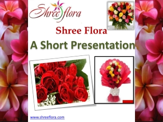 Send Flowers To india With Renowned FLorists