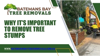 Why it's important to remove tree stumps