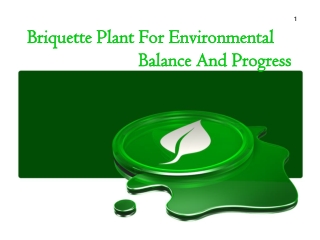 Briquette Plant For Environmental Balance and Progress
