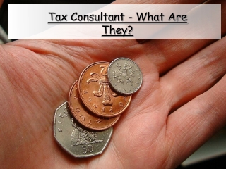 Tax Consultant - What Are They?