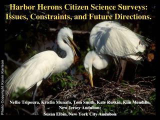 Harbor Herons Citizen Science Surveys: Issues, Constraints, and Future Directions.