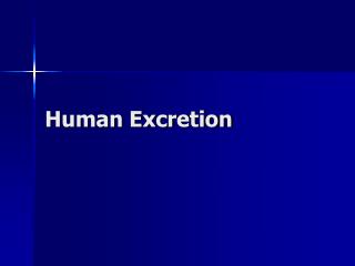 Human Excretion