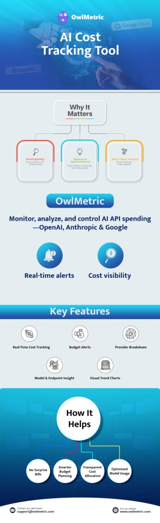 Infographic:- OwlMetric - AI Cost Tracking Tool