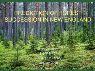 PREDICTION OF FOREST SUCCESSION IN NEW ENGLAND