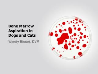 Bone Marrow Aspiration in Dogs and Cats