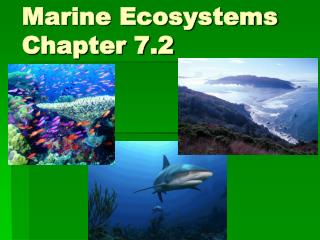 Marine Ecosystems Chapter 7.2