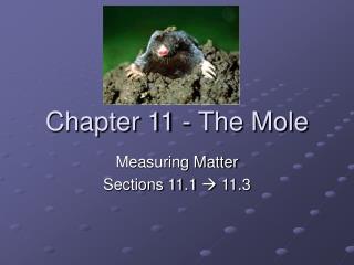 Chapter 11 - The Mole