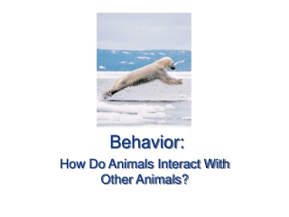 Behavior: