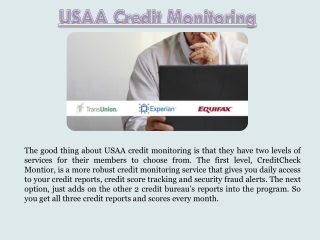Creditcheck Monitor