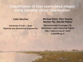 Classification of boar sperm head images using Learning Vector Quantization