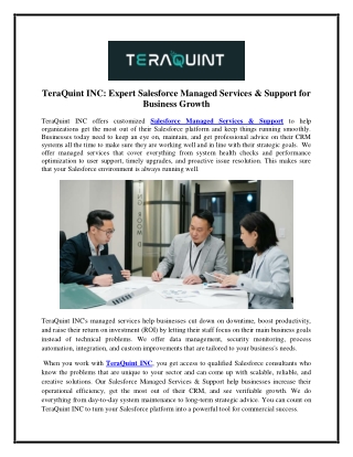 TeraQuint INC Expert Salesforce Managed Services & Support for Business Growth