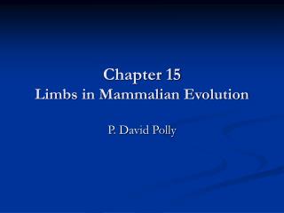 Chapter 15 Limbs in Mammalian Evolution