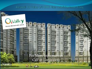 Invest in Amrapali O2 Valley Flats in Noida Extension at Bes