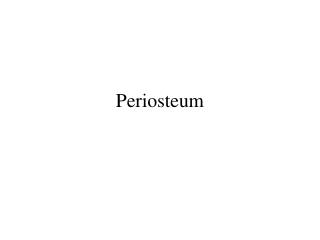 Periosteum