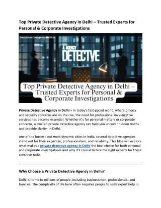 Top Private Detective Agency in Delhi (1)