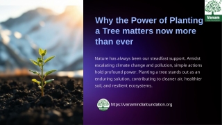 Why the Power of Planting a Tree matters now more than everWhy the Power of Plan