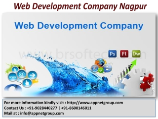 Web Development Company Nagpur