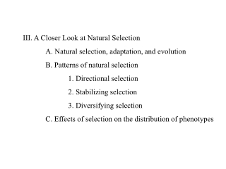 III. A Closer Look at Natural Selection 	A. Natural selection, adaptation, and evolution