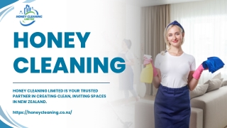 Professional Cleaning Service in New Zealand