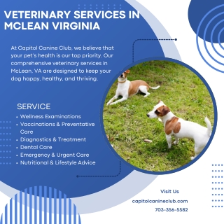 Veterinary Services in McLean Virginia  Capitol Canine Club