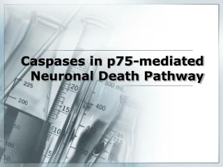 Caspases in p75-mediated Neuronal Death Pathway