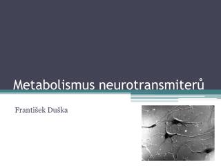 Metabolismus neurotransmiterů