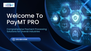 Comprehensive Payment Processing Solutions for Diverse Industries