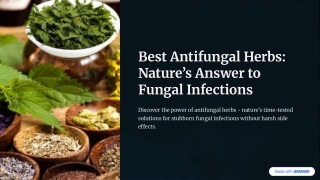 Best Antifungal Herbs: Nature’s Answer to Fungal Infections